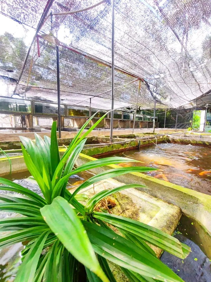 Spawning Raceways