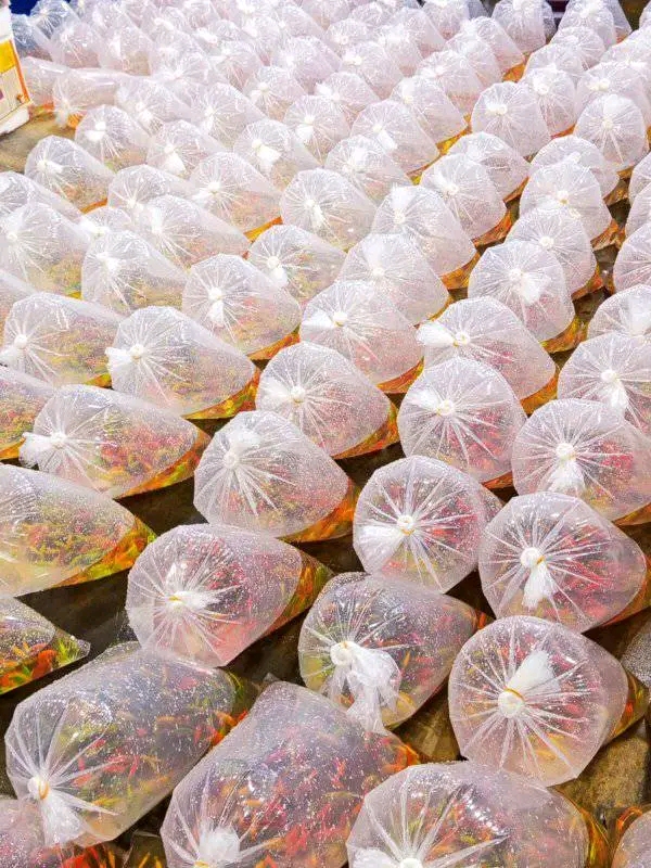 Oxygenated Export Packing Bags