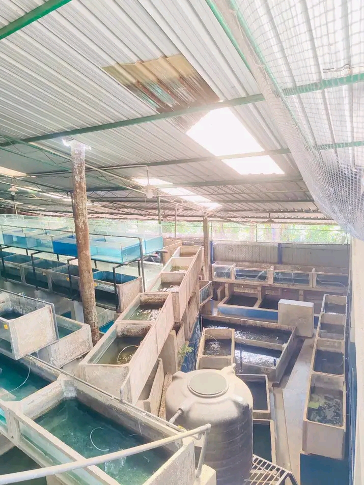 Selective Hatchery