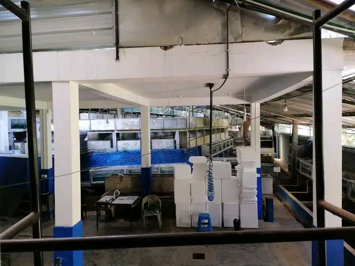 Packing Bay & Thermal Cartons